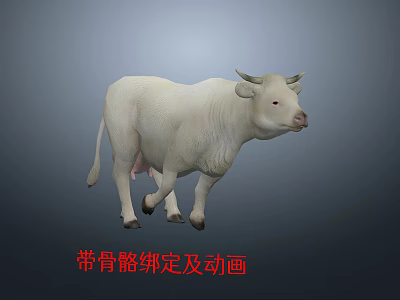 Realistic White Cow 3D Model With Skeleton Rigging And Animation 3d model
