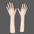 Human Hands And Arms With Natural Skin Tone On Gray Background