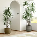 Indoor Potted Dracaena Plants with Woven Brown and Gray Pots in Corner with White Walls and Archway