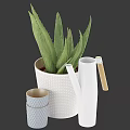 Aloe Vera Bonsai in White Woven Pot with White Watering Can and Blue Gold Cups