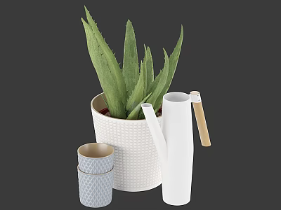 Aloe Vera Bonsai in White Woven Pot with White Watering Can and Blue Gold Cups 3d model