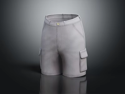 Modern Shorts Sports Shorts 3d model