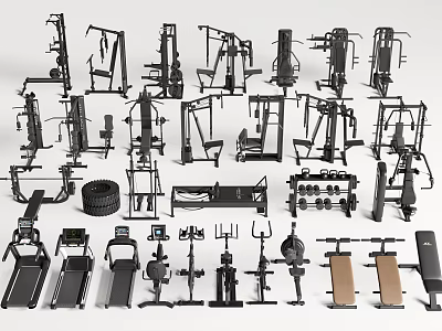 Diverse Sports Equipment Collection With Treadmills Dumbbells And Fitness Machines For Home Gym 3d model