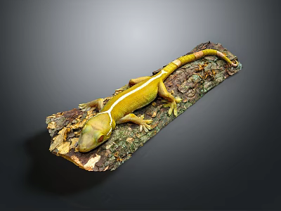 Yellow Striped Gecko Resting On Wooden Log With Bark Texture Against Dark Background 3d model