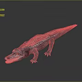 Crocodile Alligator Nile Crocodile carnivore reptile cold-blooded animal reptile 3d model
