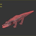 Crocodile Alligator Nile Crocodile carnivore reptile cold-blooded animal reptile reptile 3d model