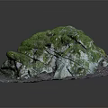Wood Stone Decorative Rock With Moss Covered Top And Natural Wood Base