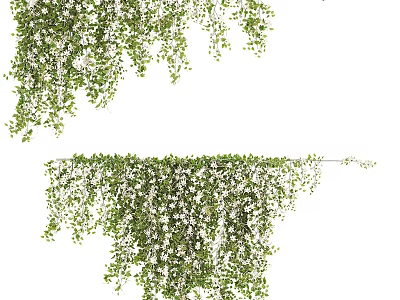Lush Green Hanging Vines With White Flowers And Natural Foliage 3d model