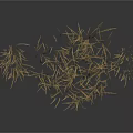 Dry Grass With Light Brown And Golden Thin Sparse Growth Against White Background