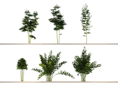 Various Bamboo Plants With Different Heights And Lush Green Foliage 3d model