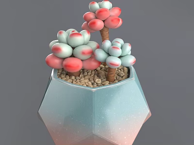 Pink And White Round Succulent Plant In Light Blue Polygonal Pot With Small Pebbles 3d model