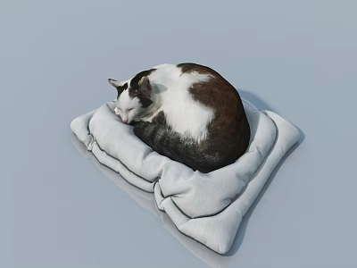 Brown And White Reptile Sleeping Curled On Gray Cushion Pad 3d model