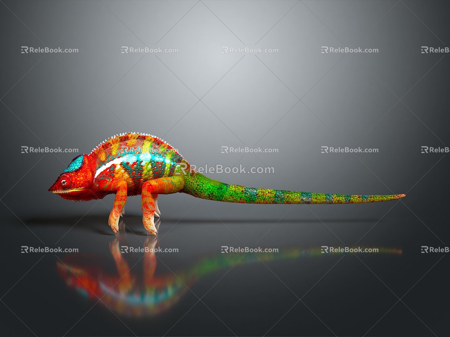 Lizard Anime Lizard Chameleon Cartoon Lizard Reptile Cold Blooded Animal Reptile Reptile Class 3d model