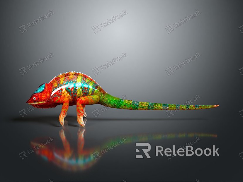 Lizard Anime Lizard Chameleon Cartoon Lizard Reptile Cold Blooded Animal Reptile Reptile Class model