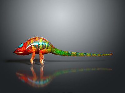 Lizard Anime Lizard Chameleon Cartoon Lizard Reptile Cold Blooded Animal Reptile Class 3d model