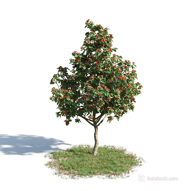 Lush Arbor With Green Leaves Red Fruits Brown Trunk And Shadow On Green Grass 3d model 