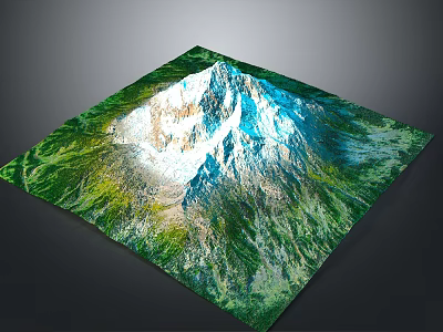 3D Terrain Model of Mountain with Green Vegetation and White Snow-Capped Peak 3d model