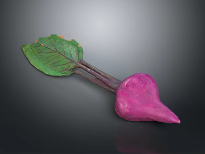 Fresh Purple Beetroot With Green Leaves And Natural Fresh Appearance 3d model