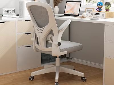 Modern Study Room With Ergonomic Office Chair Laptop Desk Decorations Wooden Floor And Drawer Cabinets 3d model