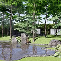 Scenic Park Landscape With Tall Trees Sunlight Filtering Through Leaves Pond And Rocks Reflections