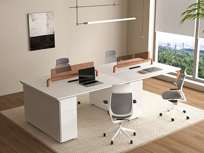 Modern Office Desk with Ergonomic Chairs Laptop Wooden Frame Window View and Area Rug 3d model
