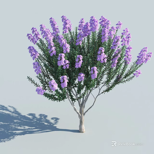 Vibrant Purple Flowering Tree with Green Leaves and White Trunk in Light Gray Background 3d model 