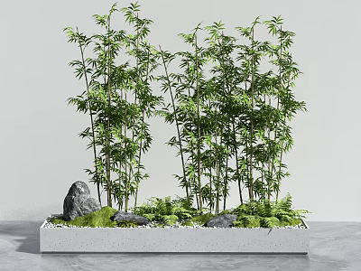 Indoor Bamboo Decor Arrangement With Rocks And Moss In Planter 3d model