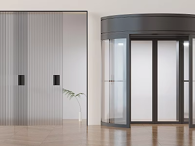 Modern Glass Door With Black Metal Frame Vertical Stripes And Revolving Design 3d model