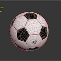 Black And White Panel Soccer Ball Sports Equipment With Sun Logo On Surface