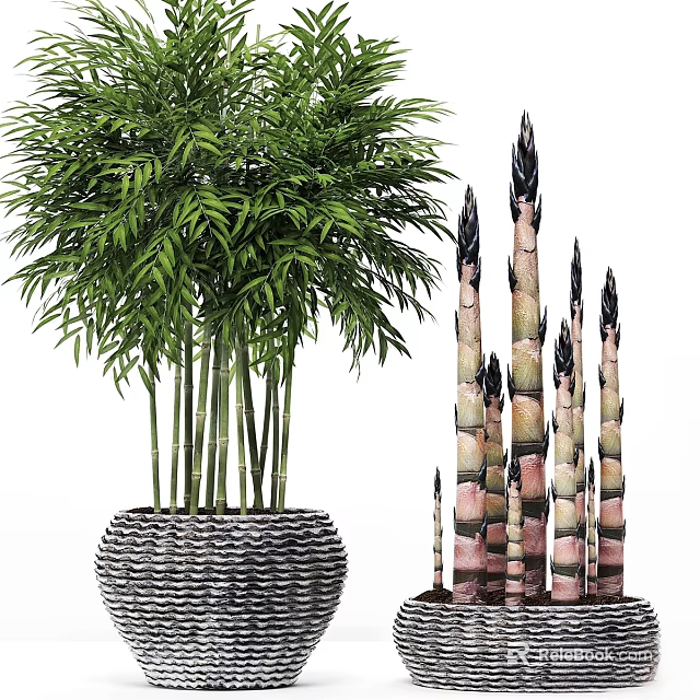 Decorative Ornament Set With Lush Green Plants And Colorful Striped Bamboo Shoots 3d model 