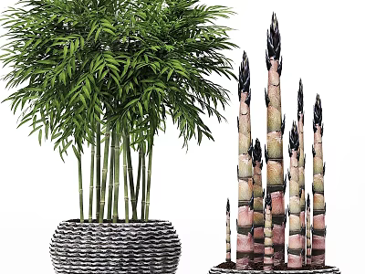 Decorative Ornament Set With Lush Green Plants And Colorful Striped Bamboo Shoots 3d model