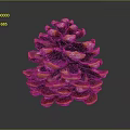 Detailed Glossy Red Brown and Orange Pine Cone With Scales On Dark Background