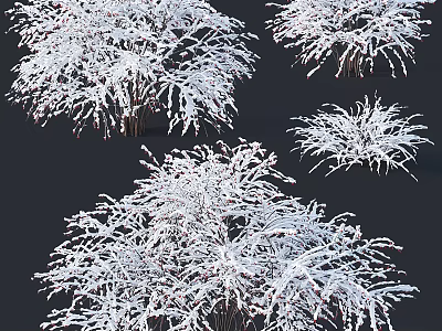 Snow Covered Arbor Trees with Frosty Branches and White Snow in Winter Natural Scene 3d model