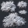 Snow Covered Arbor Trees with Frosty Branches and White Snow in Winter Natural Scene