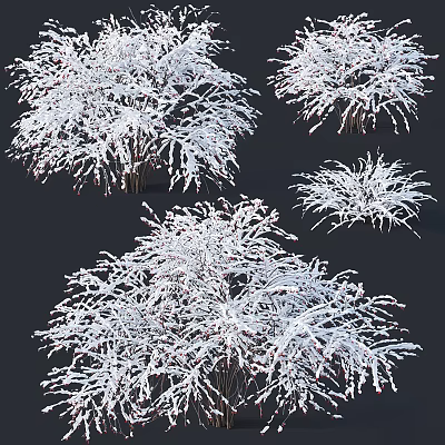 Snow Covered Arbor Trees with Frosty Branches and White Snow in Winter Natural Scene 3d model