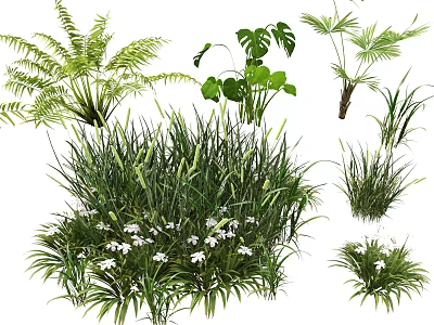 Diverse Green Foliage Plants Fern Monstera Palm Grass With Small White Blooms 3d model