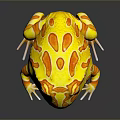 Yellow and Orange Frog with Red Eyes on Dark Background with Reflective Surface 3d model