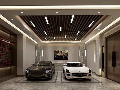 Modern Garage Interior Design With Luxury Black White Cars And Ceiling Strip Lights 3d model