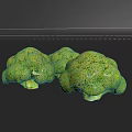 Three Fresh Vibrant Green Broccoli Heads Arranged on Dark Background