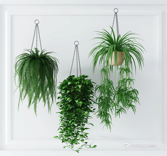 Hanging Basket Plants With Trailing Green Foliage For Indoor Home Decor 3d model 