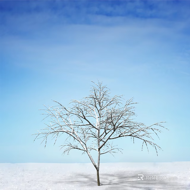 Snow Covered Tree With Bare Branches Against Clear Blue Winter Sky 3d model