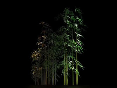 Lush Bamboo Forest With Tall Stems And Vibrant Green Leaves In Natural Night View 3d model
