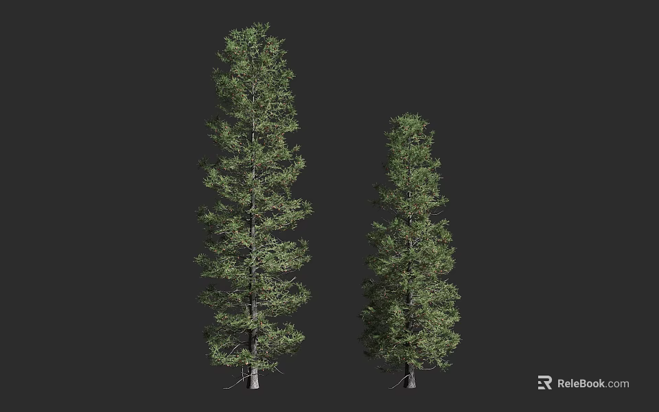 Two Tall Arbor Trees With Lush Green Foliage And Straight Trunks 3d model 
