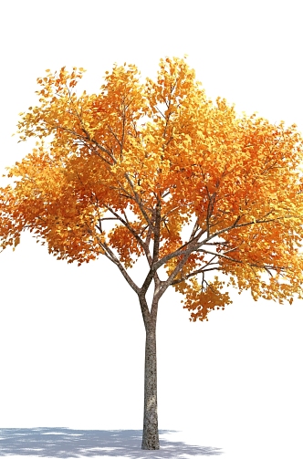 The Modern Tree 3d model