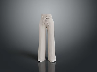 Beige Wide Leg Pants With Belt Minimalist Stylish Flowy Design For Daily Wear 3d model