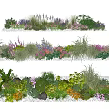 Colorful Garden Shrubs With Mixed Flowers Grasses And Ornamental Plants for Beautiful Outdoor Landscaping