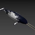 Realistic 3D Model of Narwhal With Long Tusk and Black White Skin