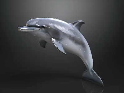 Realistic Gray And White Dolphin Leaping With Shiny Surface On Dark Background 3d model