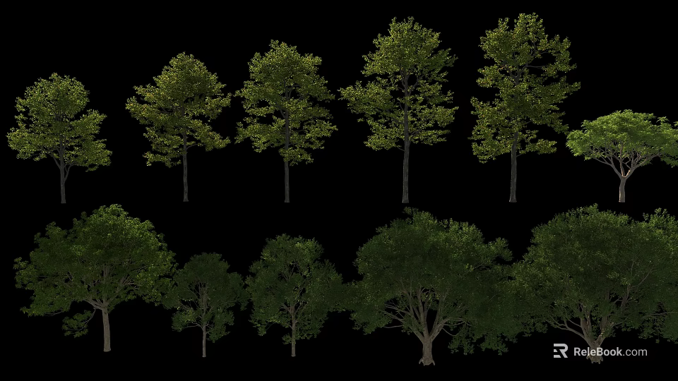 Different Types Of Arbor Trees With Green Foliage Various Sizes And Tall Trunks 3d model 