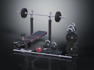 Complete Home Gym Fitness Setup With Barbell Rack Weight Bench Dumbbells And Weight Plates 3d model